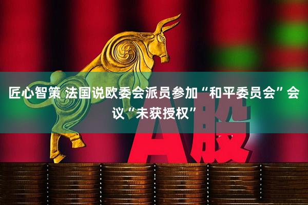 匠心智策 法国说欧委会派员参加“和平委员会”会议“未获授权”