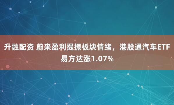 升融配资 蔚来盈利提振板块情绪，港股通汽车ETF易方达涨1.07%