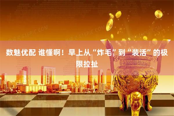 数魅优配 谁懂啊！早上从“炸毛”到“装活”的极限拉扯