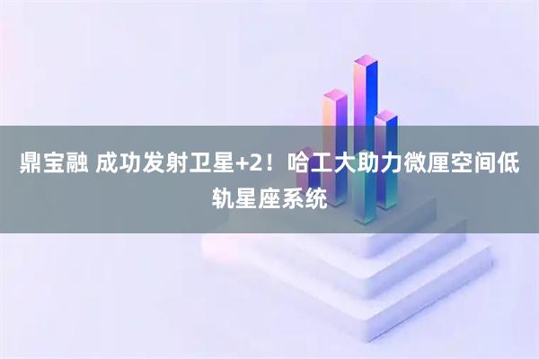 鼎宝融 成功发射卫星+2！哈工大助力微厘空间低轨星座系统