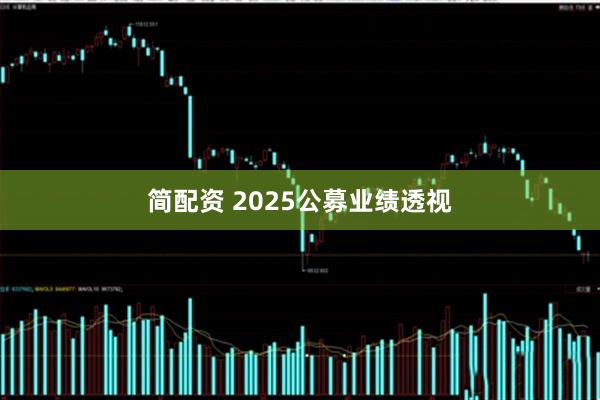 简配资 2025公募业绩透视
