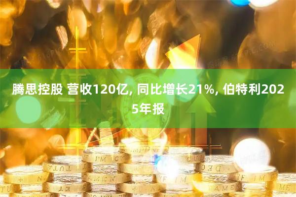 腾思控股 营收120亿, 同比增长21%, 伯特利2025年报