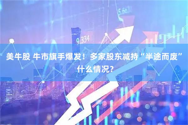 美牛股 牛市旗手爆发!多家股东减持“半途而废” 什么情况?
