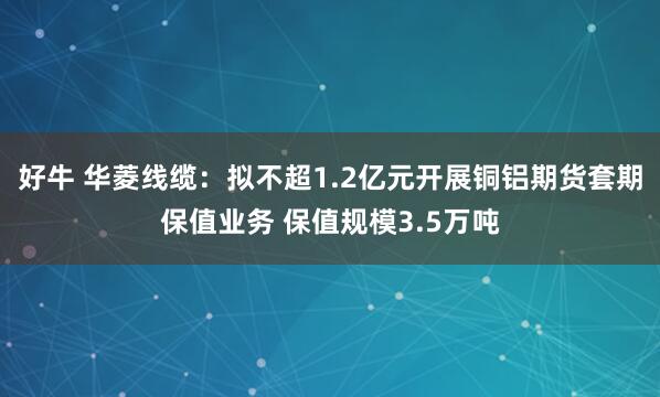 好牛 华菱线缆：拟不超1.2亿元开展铜铝期货套期保值业务 保值规模3.5万吨