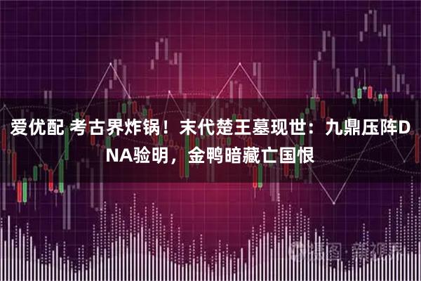爱优配 考古界炸锅！末代楚王墓现世：九鼎压阵DNA验明，金鸭暗藏亡国恨