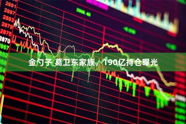 金勺子 葛卫东家族，190亿持仓曝光