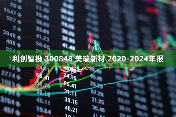 利创智投 300848 美瑞新材 2020-2024年报