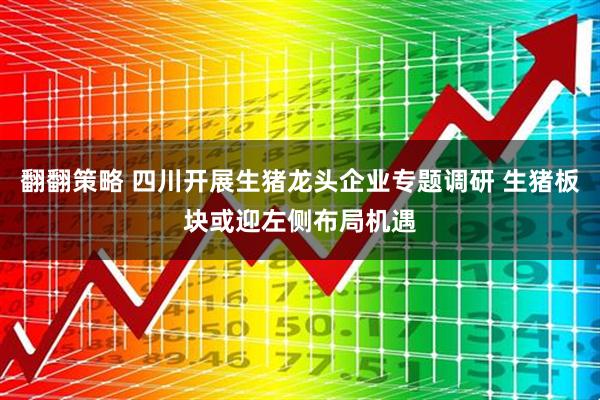 翻翻策略 四川开展生猪龙头企业专题调研 生猪板块或迎左侧布局机遇