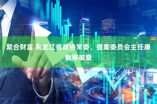 聚合财富 黑龙江省政协常委、提案委员会主任康翰卿被查
