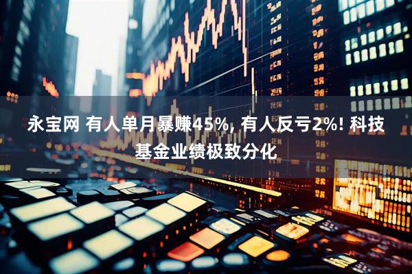 永宝网 有人单月暴赚45%, 有人反亏2%! 科技基金业绩极致分化