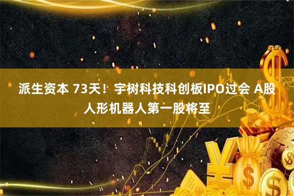 派生资本 73天！宇树科技科创板IPO过会 A股人形机器人第一股将至