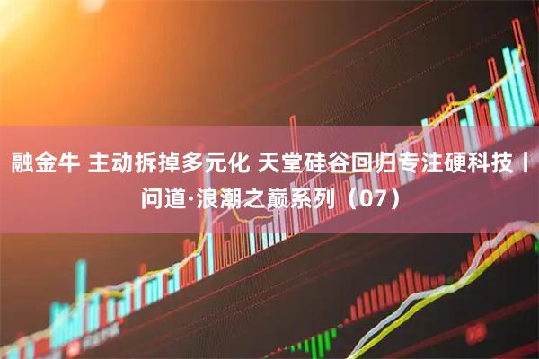 融金牛 主动拆掉多元化 天堂硅谷回归专注硬科技丨问道·浪潮之巅系列（07）