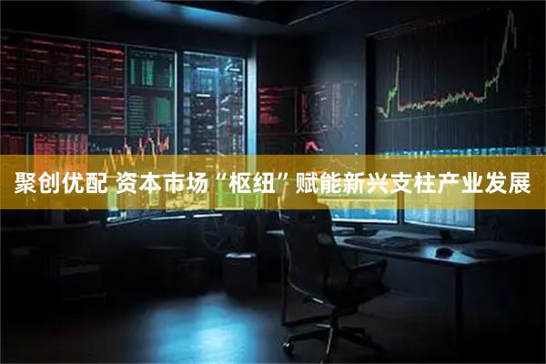 聚创优配 资本市场“枢纽”赋能新兴支柱产业发展